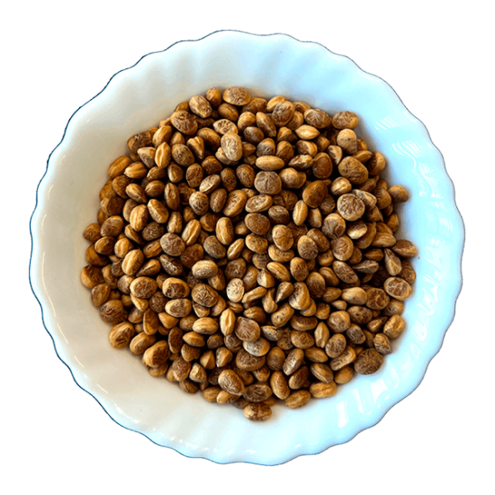 Cuddapah Almond/Charoli