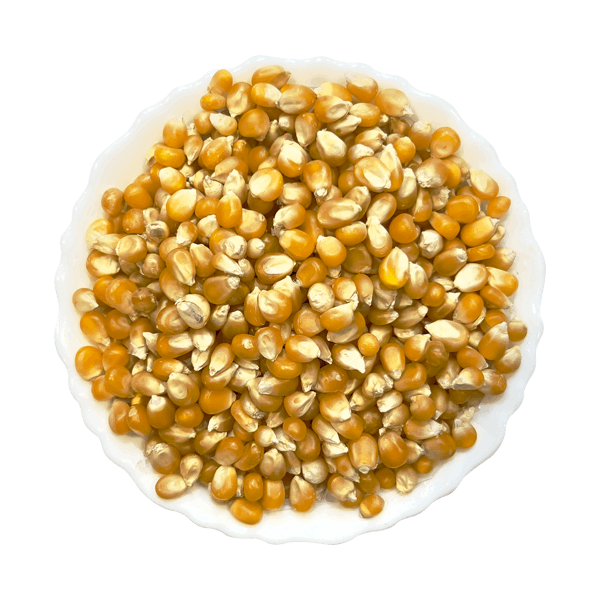 Popcorn
